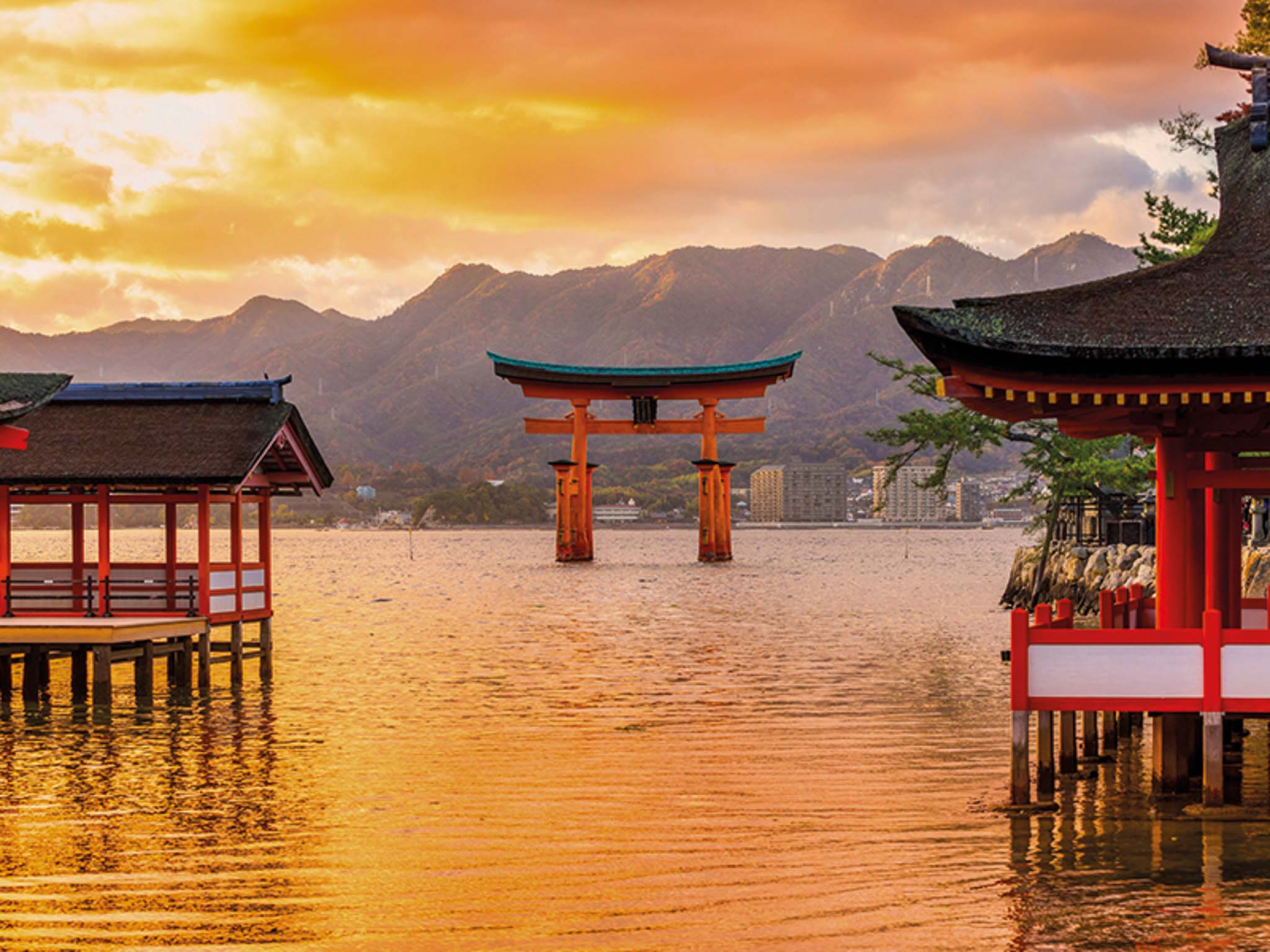 Content_Japan_1800x600px_01