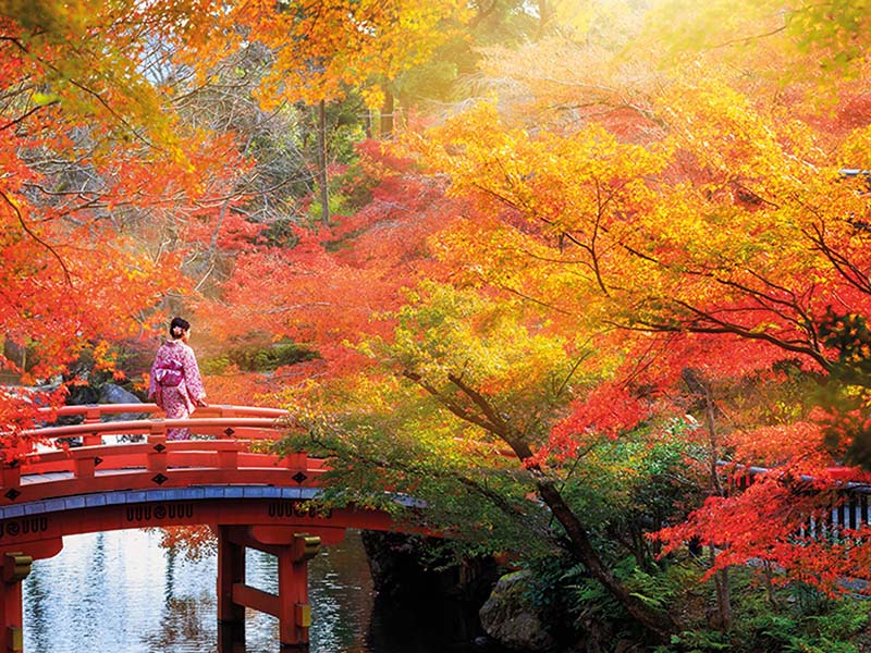 Content_Japan_1800x600px_03