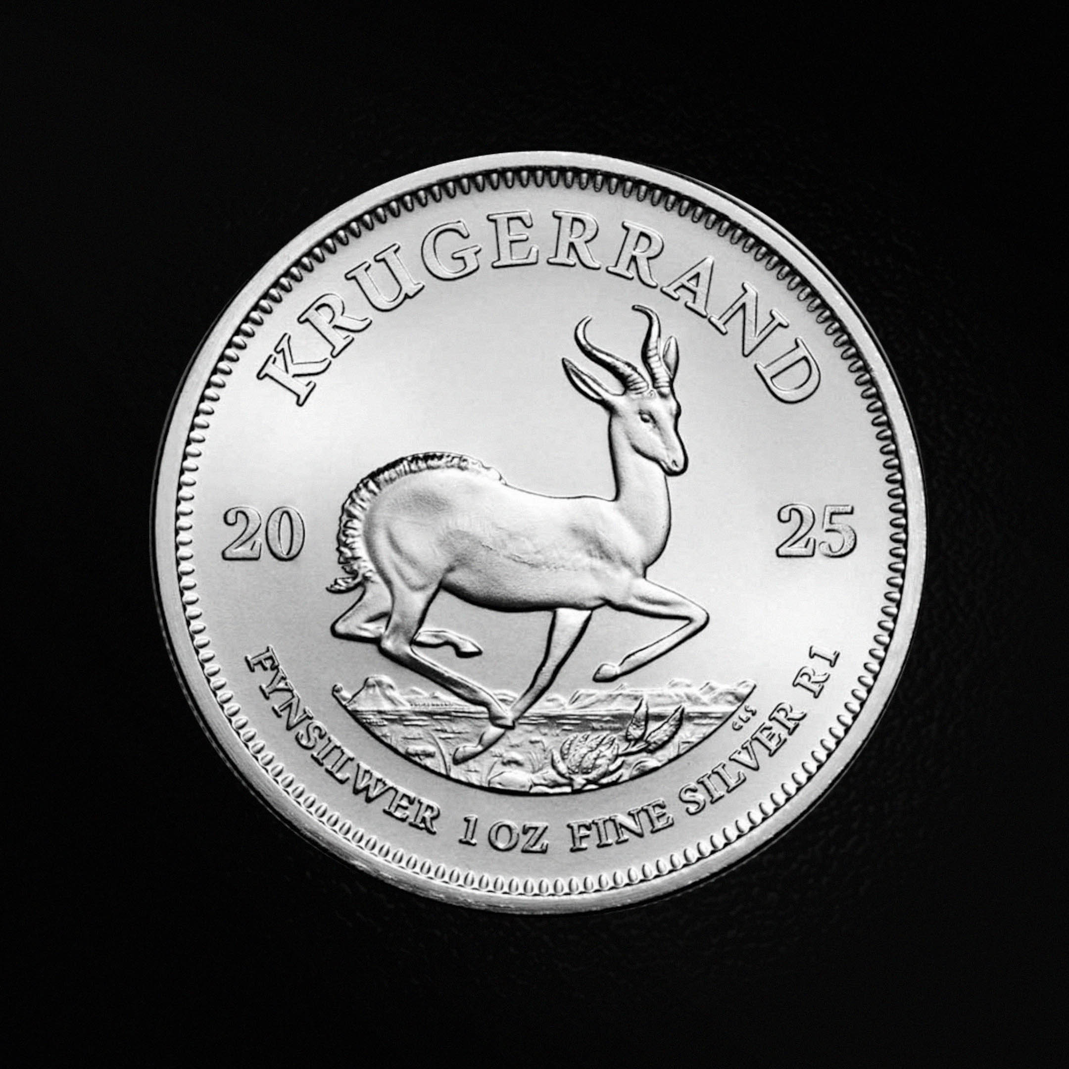 Zilveren Krugerrand